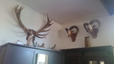 Photos of HUNTING NIJE