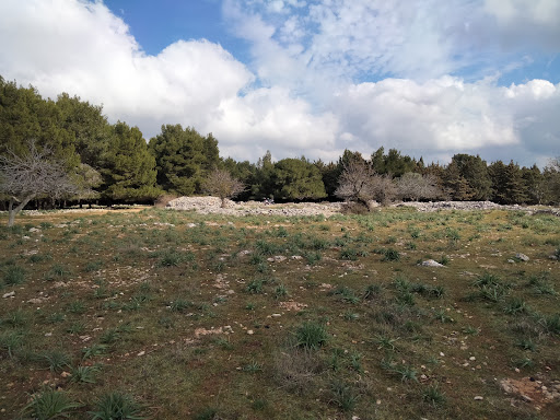 Masseria di città - Thumbnail