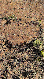 Photo n°15 de EARL LES OLIVIERS - Villa l'Estel à Tarascon (Entreprise de terrassement)