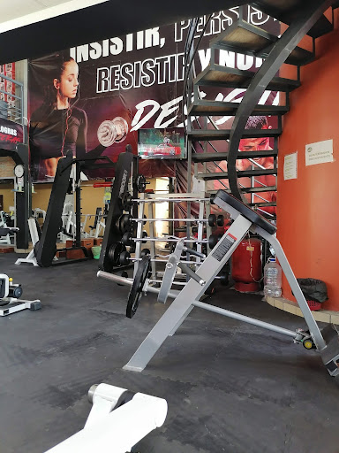 Pro-Epic Gym - Visual