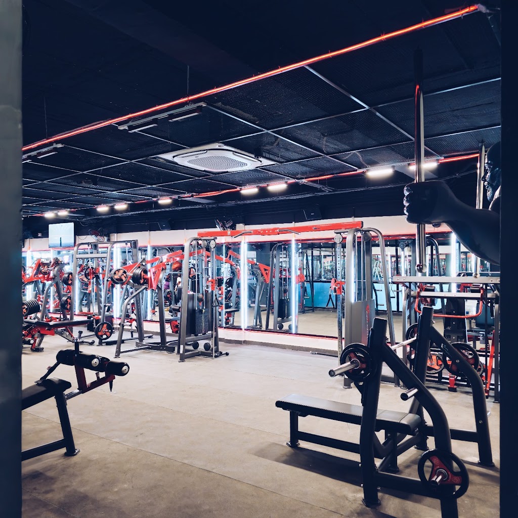 The Real Leader Gym Hisar