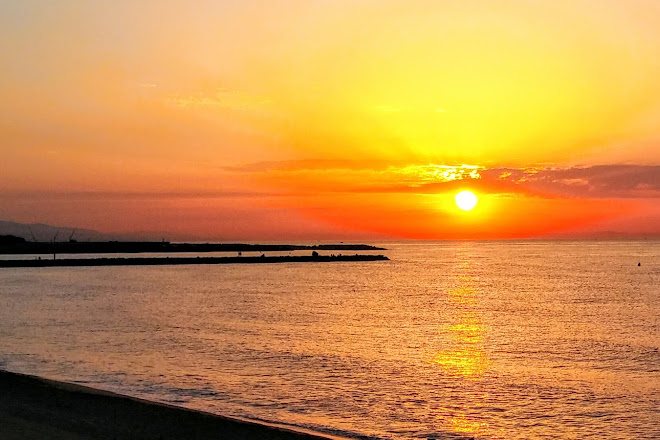 Visit Nova Mar Bella Beach On Your Trip To Barcelona Or Spain