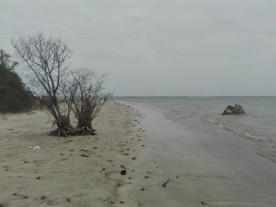 Photos of Kayankerni Coral Reef