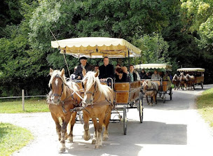 Photo n°20 de Les Calèches du Saut du Doubs à Villers-le-Lac (Attraction touristique)