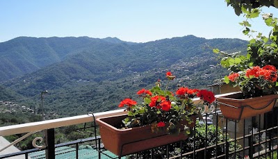 Photos of Albergo Caprile Sas.