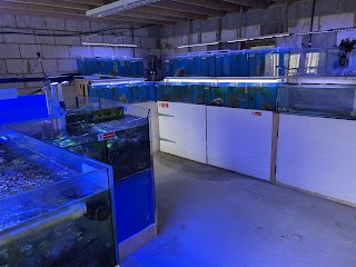 Medway Reefers