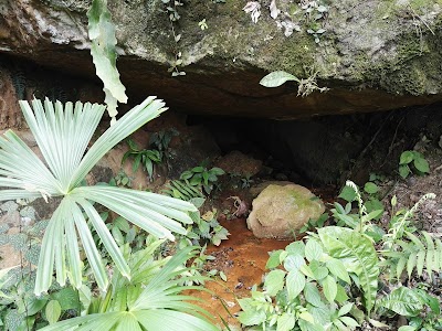 Photos of Escuela Vereda La Quina