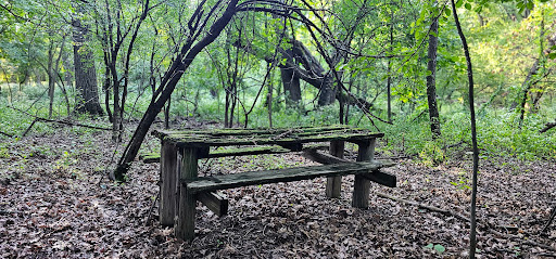 Picnic table area - Visual