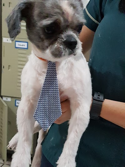 veterinary-care