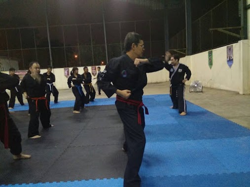 Hapkido dojang-swallow MIRACLE WONDERFUL PIK, Author: Rudy Mudali