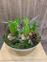 Photo n°38 de Le jardin d'Eloïse à Pont-du-Casse (Fleuriste)