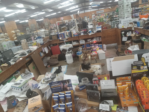Five Star Feeds - Visual