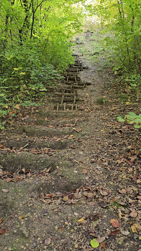 Púchovská skala - Púchov