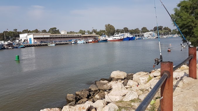 Kishon Marina, Author: Tamir Rosenberg