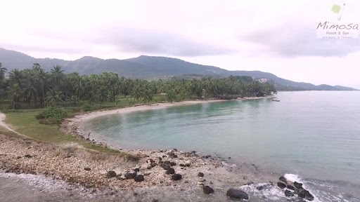 Mimosa Resort