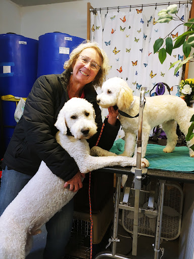 Kind and Gentle Dog Grooming