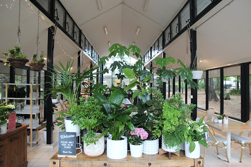 Sorensen's Glasshouse and Gardens - Thumbnail
