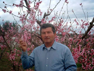 Photo n°5 de Ferme Graverolle à Saint-Alban-Auriolles (Primeur)