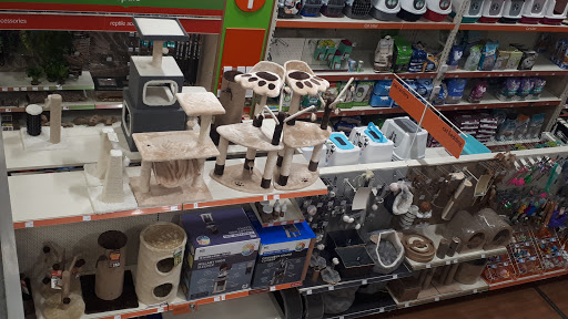 Pets at Home Waltham Abbey - Thumbnail