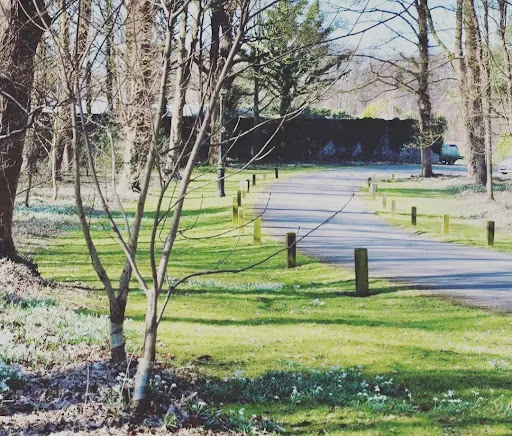 Eivissa wellbeing Therapies and Training