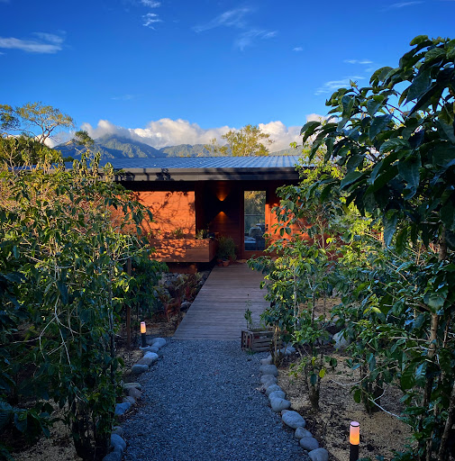 Finca Panda Coffee Farm & Luxury Casitas