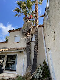 Photo n°17 de Greenteam à Gignac-la-Nerthe (Paysagiste)
