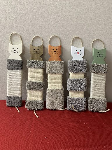 Catsnscatch - Visual