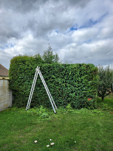 Photo de Aubry Espaces Verts à Saint-Aubin-Épinay (76160)