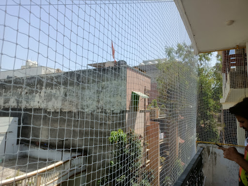 Gallery image 4