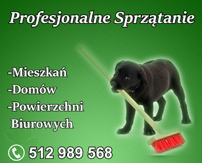 Profesjonalne sprzątanie (Mieszkań, Domów, Powierzchni Biurowych)
