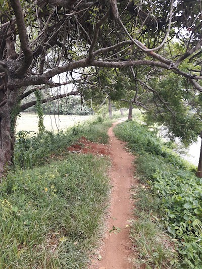 Photos of Talakiriyagama Sri Buddhajayanthi Viharaya