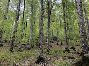 Photo n°27 de Aux portes d’Aubrac à Condom-d'Aubrac (Restaurant)