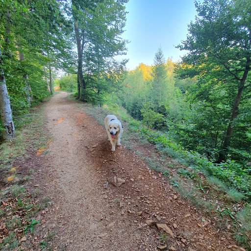 Centre De Recreation, Belvaux - Gealgeberg park - Thumbnail