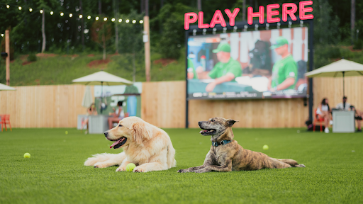 Fetch Park Alpharetta - Thumbnail