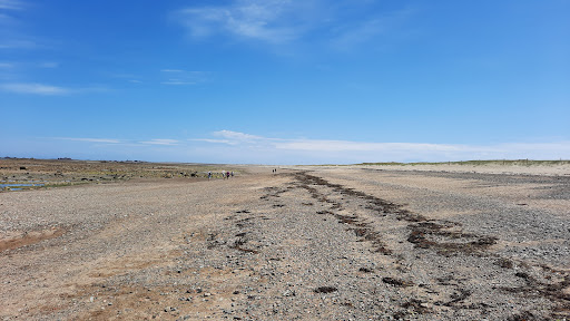 Photo de Maison de l'Estuaire à Plourivo (22860)