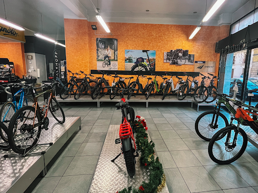 Olivieri biciclette Verona - Thumbnail