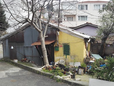 Photos of Kuzguncuk Park