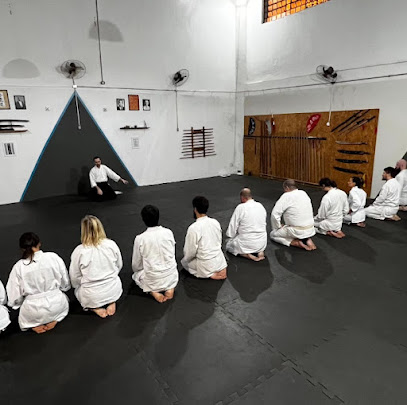 Aikido Piracicaba Sensei Tiago Gutierrez 1