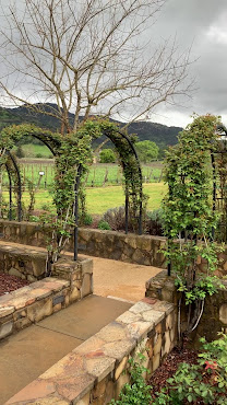 Cliff Lede Vineyards by null