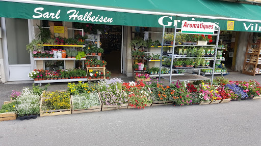 Graineterie HALBEISEN - Thumbnail