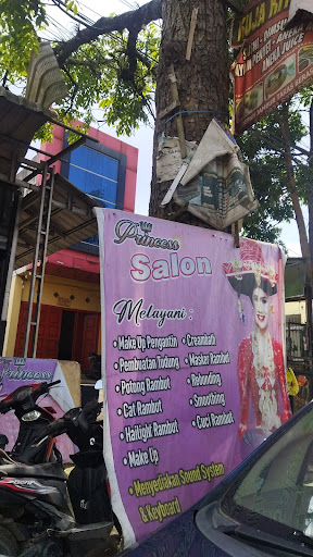 Nail and salon princess