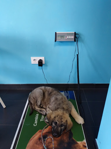 Clínica Veterinaria Katuxa