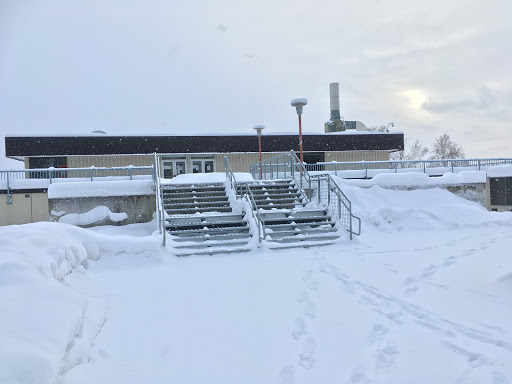 Lola Tilly Commons