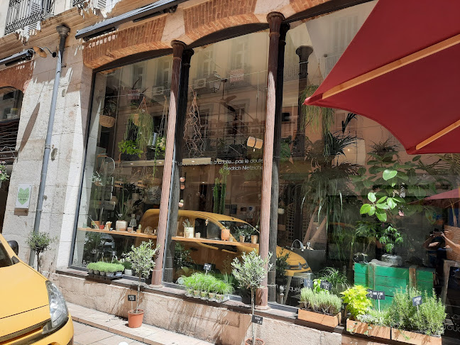 Cocoon Coffee x Vegetals - Café