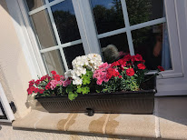 Chambre d'Hôte Magnolias à Saint-Sauveur-d'Émalleville