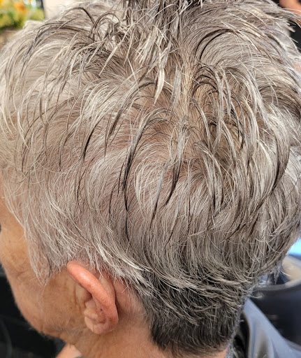 Beach Cutz - Visual