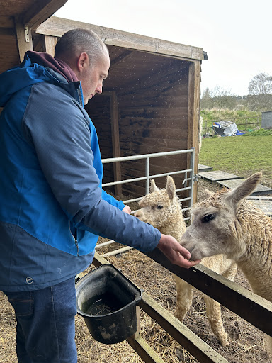 Wymondham Alpacas - Thumbnail