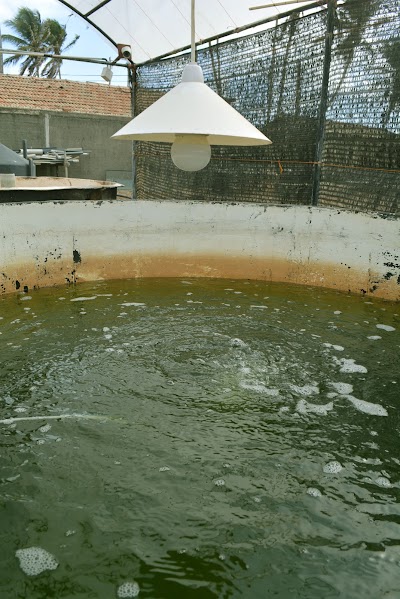 Photos of Divron Bioventures
