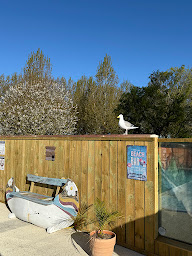 Photo n°31 de Camping La Berquerie à Le Mesnil-Réaume (Village de vacances)