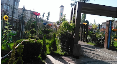cafe